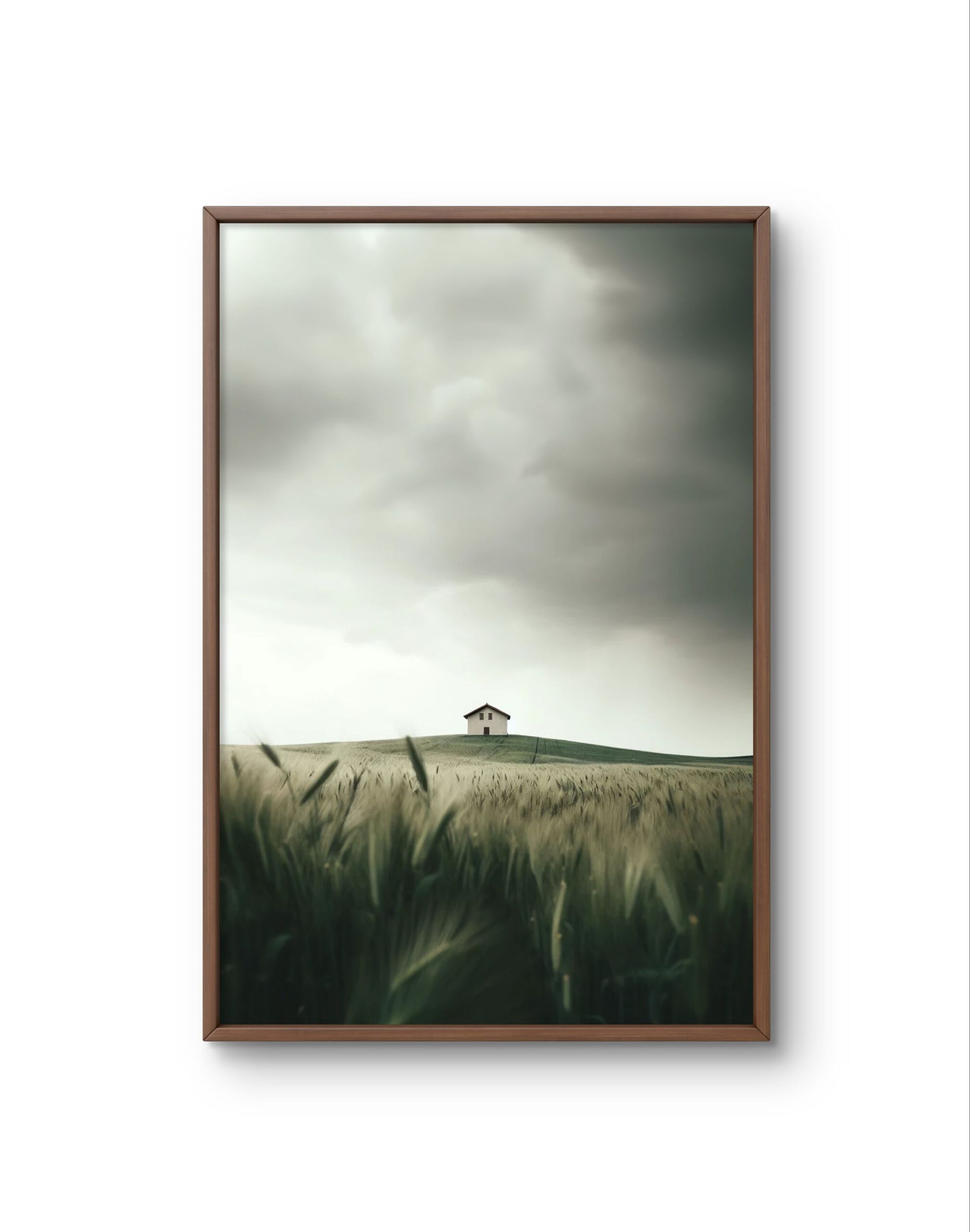 Bellucci - Solitude on the Hill — Photography fine art print by Bellucci