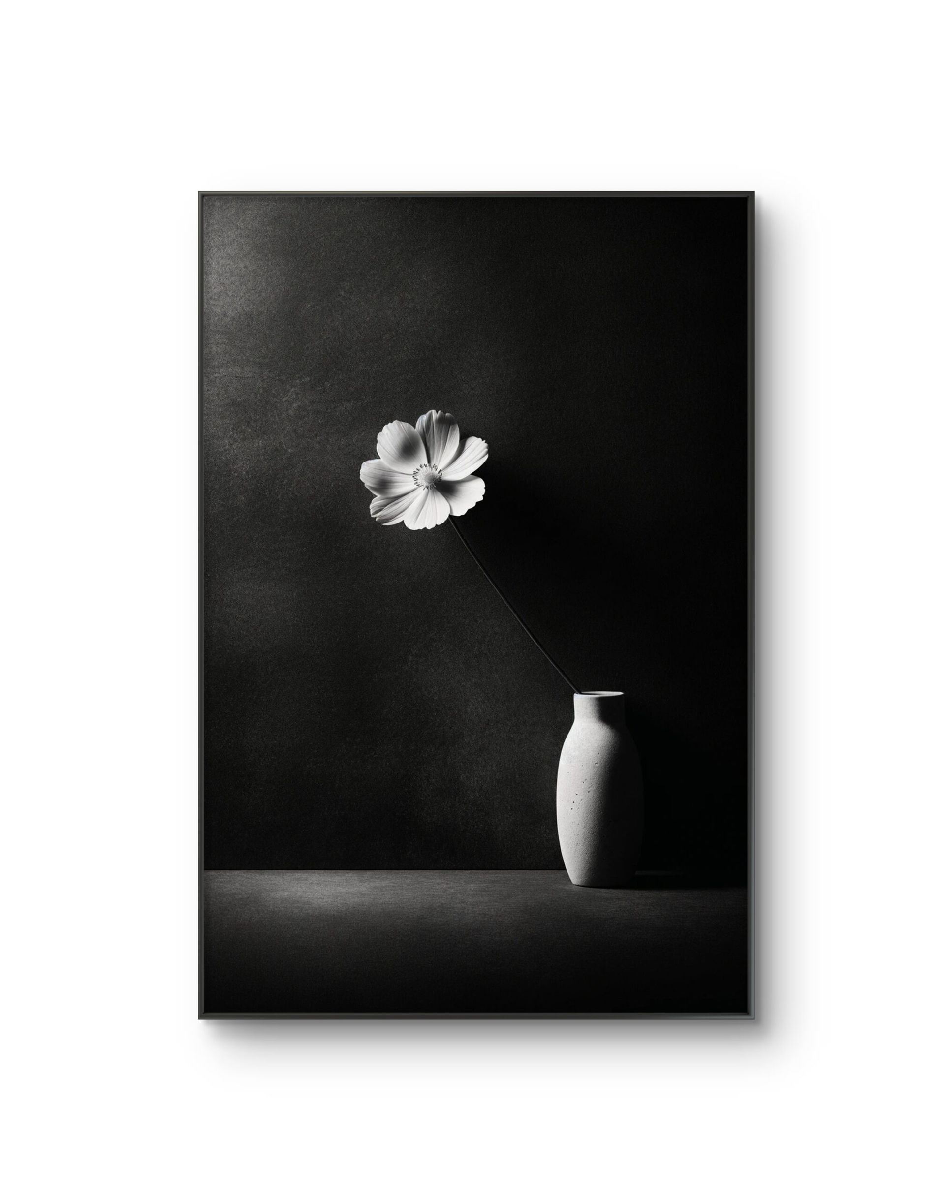 Bonaque - Elegance in Simplicity — Photography fine art print by Bonaque