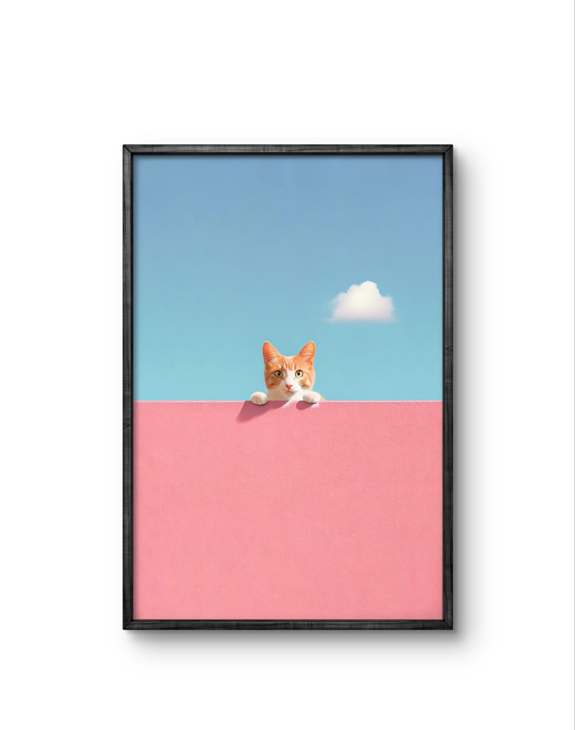 Lumivista - Curious Whiskers — Photography fine art print by Lumivista
