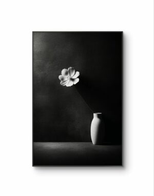 Bonaque - Elegance in Simplicity