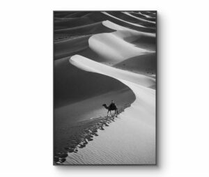 Moroz - Endless Journey