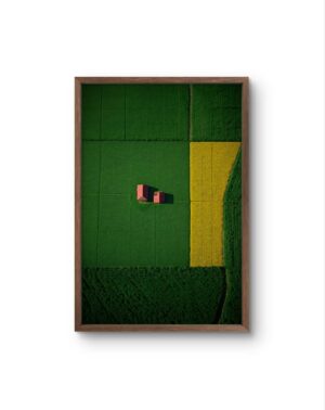 Bellucci - The Red Houses in a Sea of Green