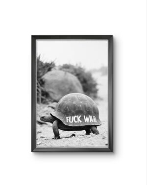 Bonaque - A Statement on the Shell