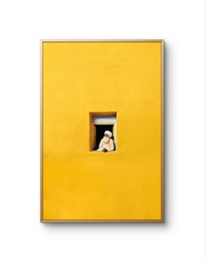 Lumivista - A Moment of Reflection