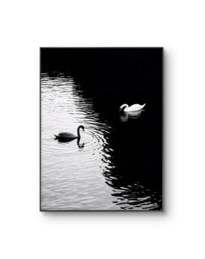 Serena - Light and Shadow on Water