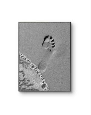 Serena - Fading Steps