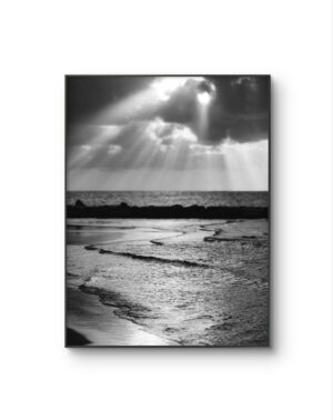 Serena - Ocean's Lament